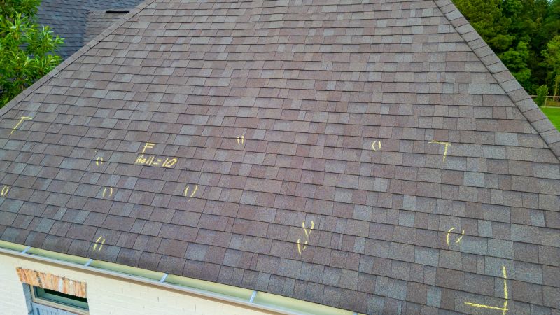 Asphalt Roof Inspection in Manhattan, IL