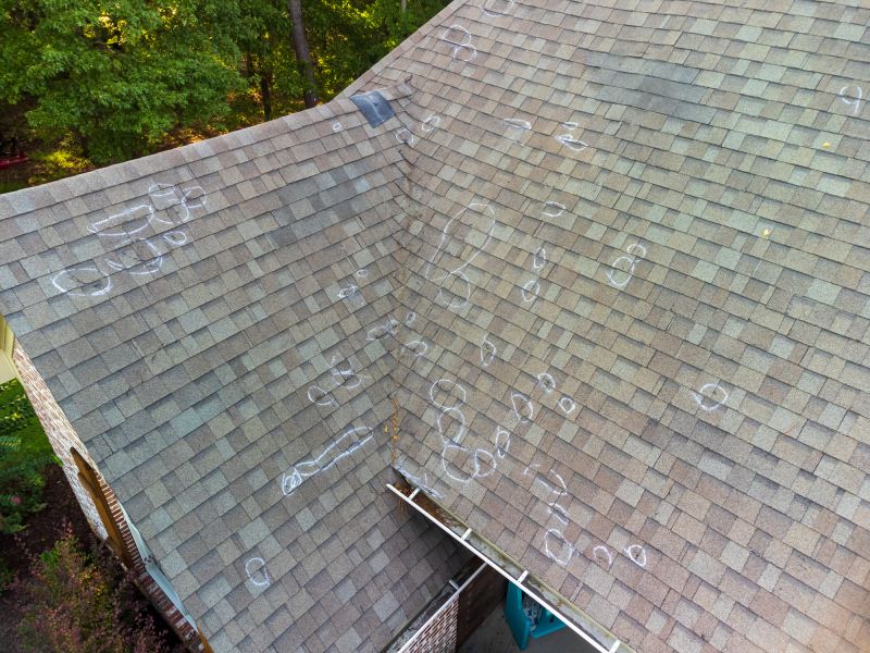 Asphalt Roof Inspection in Newton County, IN