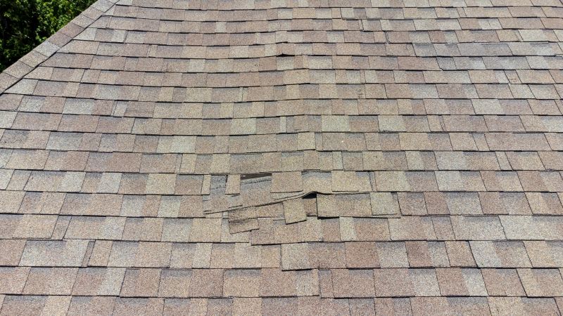 Asphalt Roof Inspection in Wilmington, IL
