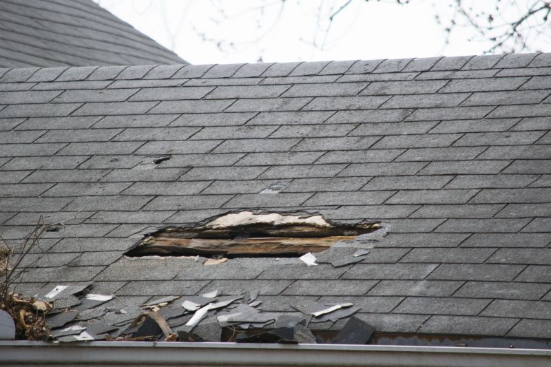 Asphalt Roof Leak Repair in Monee, IL