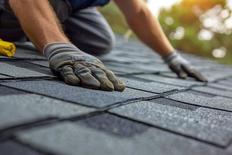 Asphalt Roof Leak Repair in Peotone, IL