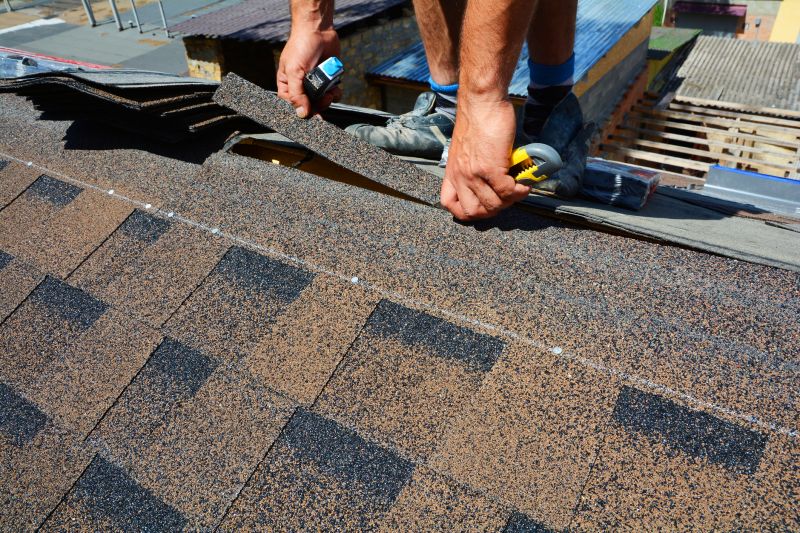 Asphalt Roof Repair in Beecher, IL