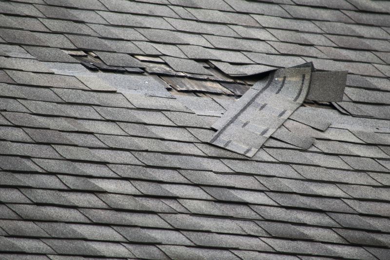 Asphalt Roof Repair in Monee, IL