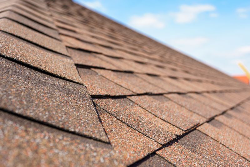 Asphalt Roofing Service in Kankakee County, IL