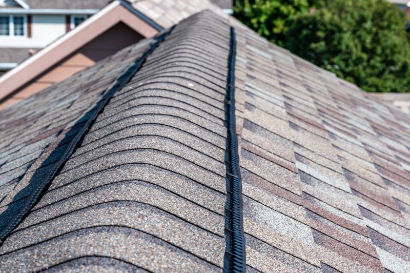 Asphalt Shingles Installation in Braidwood, IL