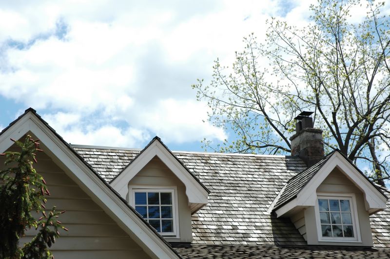 Cedar Roof Replacement in Braidwood, IL