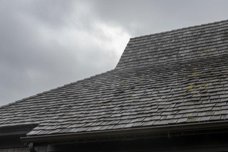 Cedar Roof Replacement in Kankakee, IL