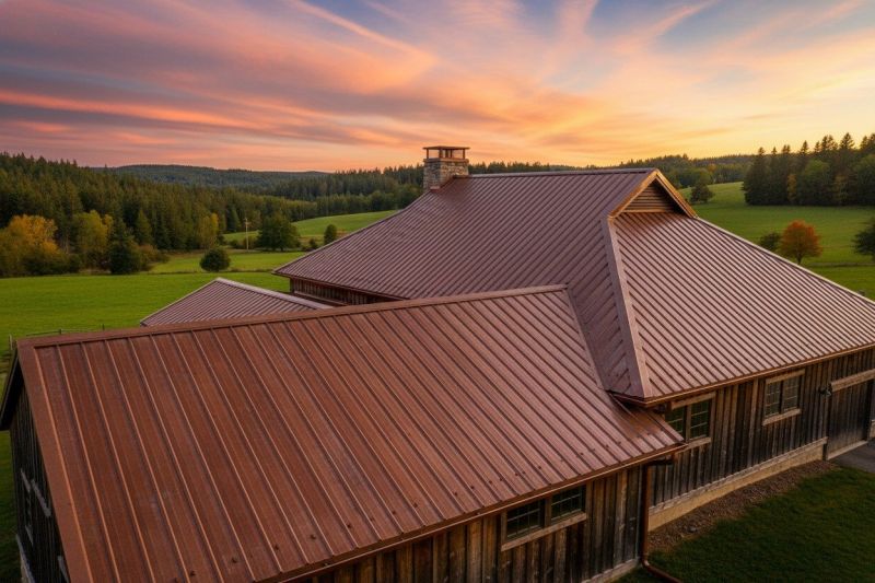 Copper Roof Replacement in Kankakee County, IL