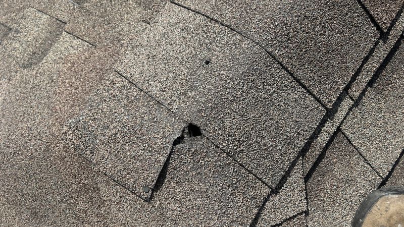Damaged Roof Repair in Beecher, IL