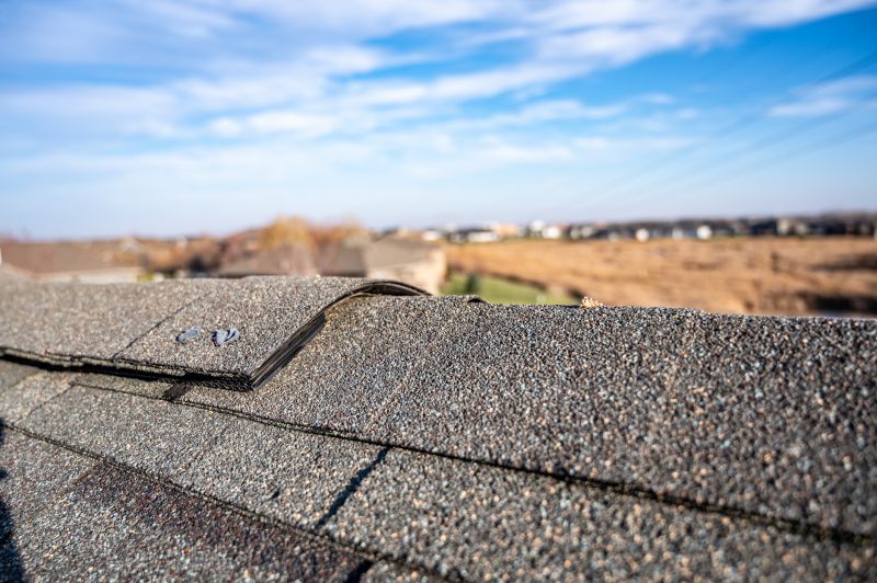 Damaged Roof Repair in Chebanse, IL
