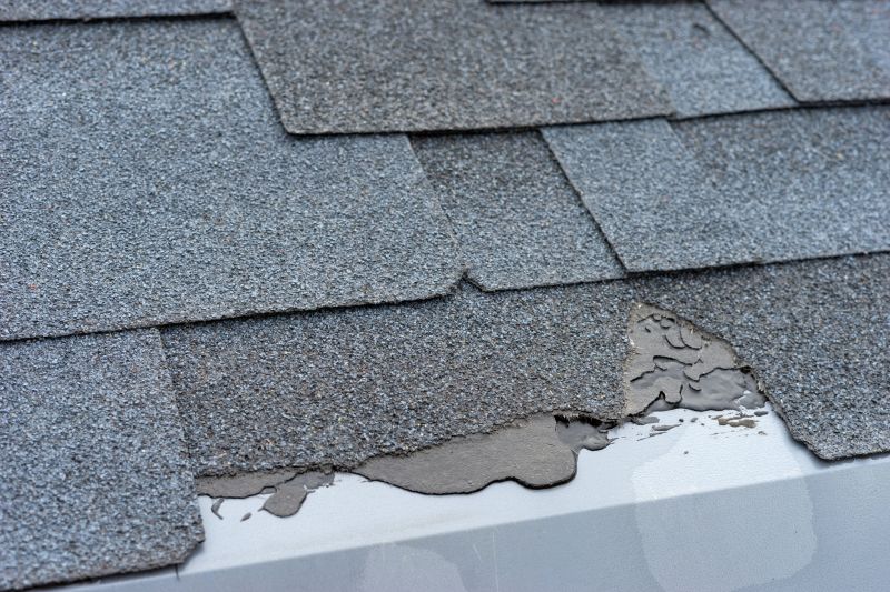 Damaged Roof Repair in Chebanse, IL
