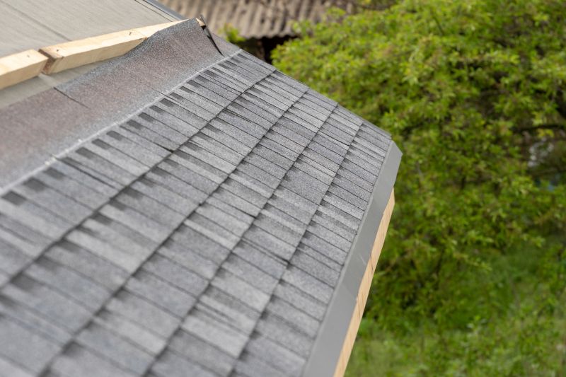 Damaged Roof Repair in Peotone, IL