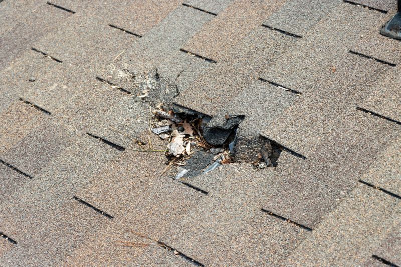 Damaged Roof Replacement in Gilman, IL