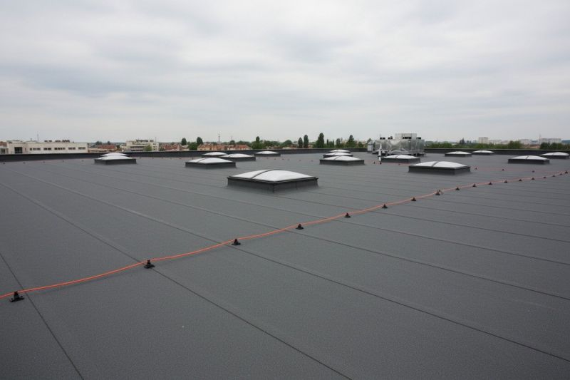Flat Roof Replacement in Monee, IL