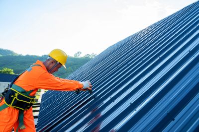 Metal Roof Repair in Newton County, IN