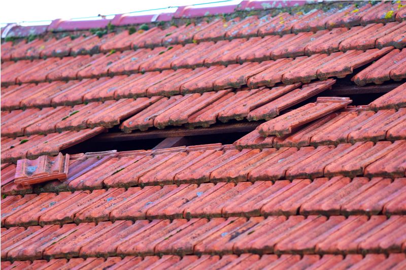 Roof Damage Inspection in Chebanse, IL