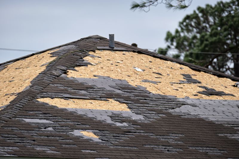 Roof Damage Repair in Beecher, IL