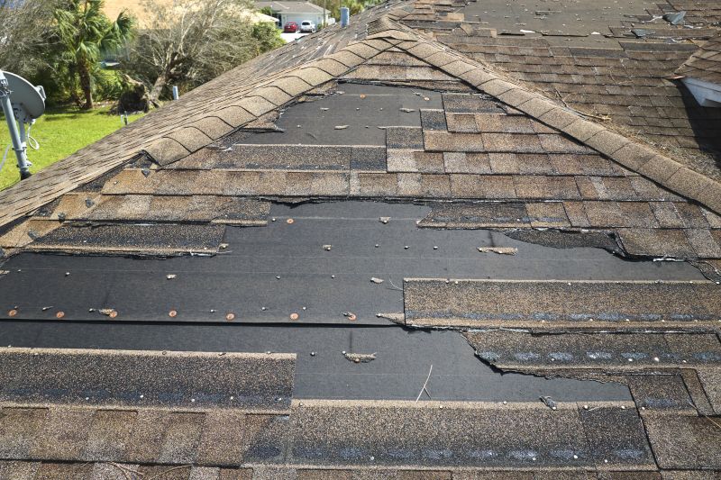 Roof Hail Damage Repair in Kankakee County, IL