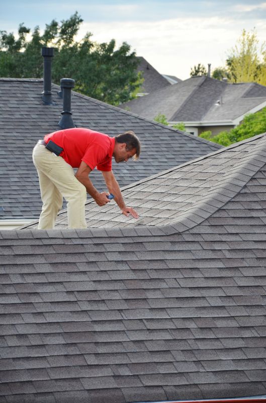 Roofing Inspection Service in Braidwood, IL