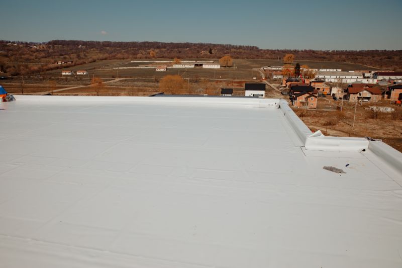 Rubber Roof Repair in Chebanse, IL