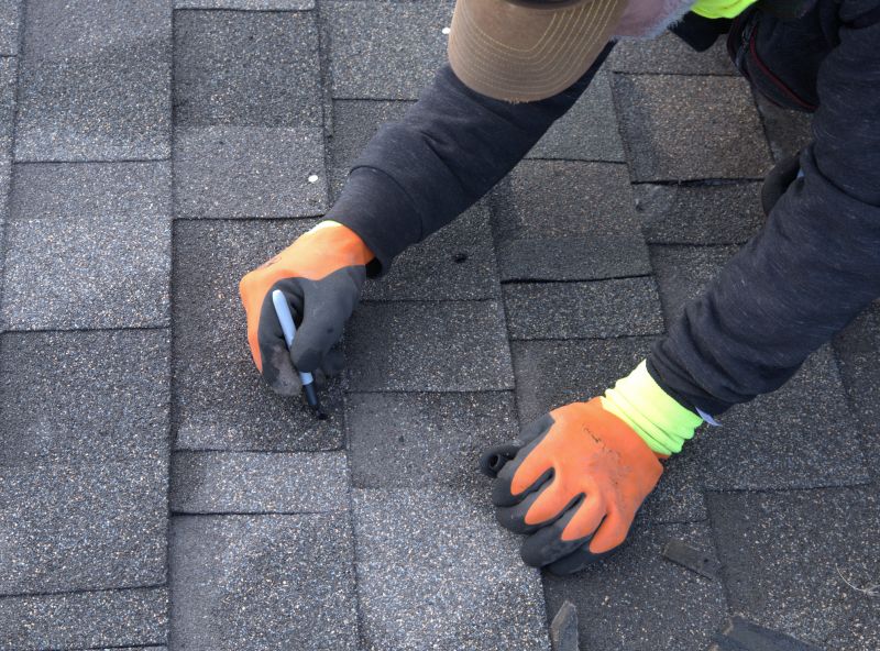 Shingles Repair in Chebanse, IL