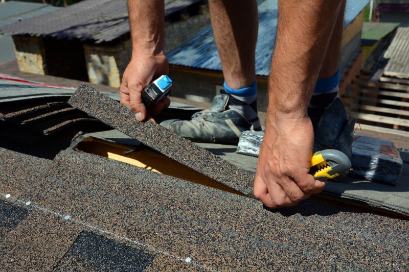 Shingles Repair in Newton County, IN