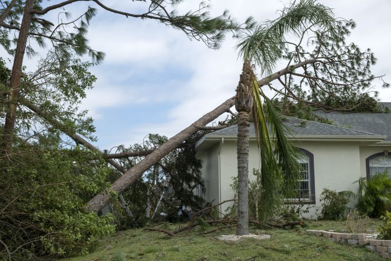 Storm Damage Roof Repair in Wilmington, IL