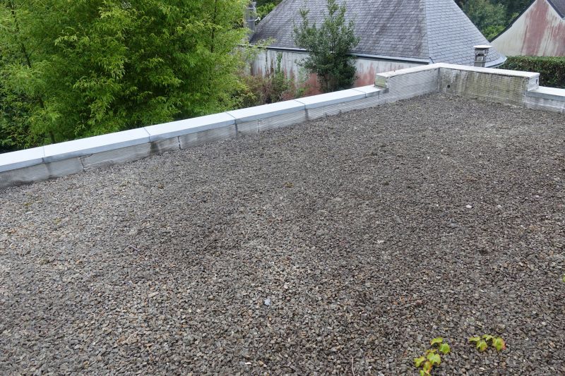 Tar And Gravel Roof Repair in Beecher, IL