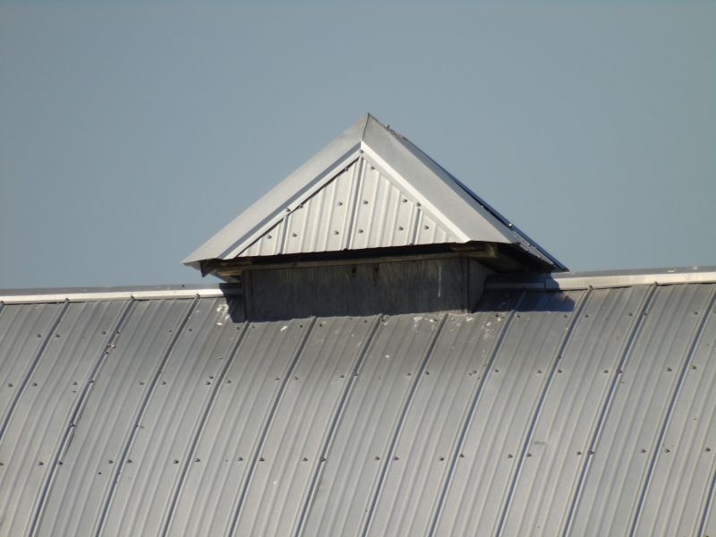 Tin Roof Installation in Kankakee County, IL