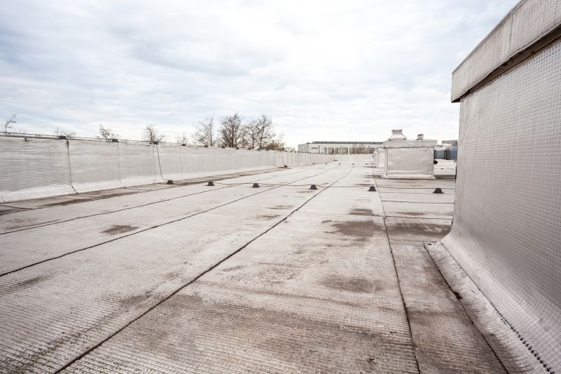 Tpo Roof Repair in Chebanse, IL